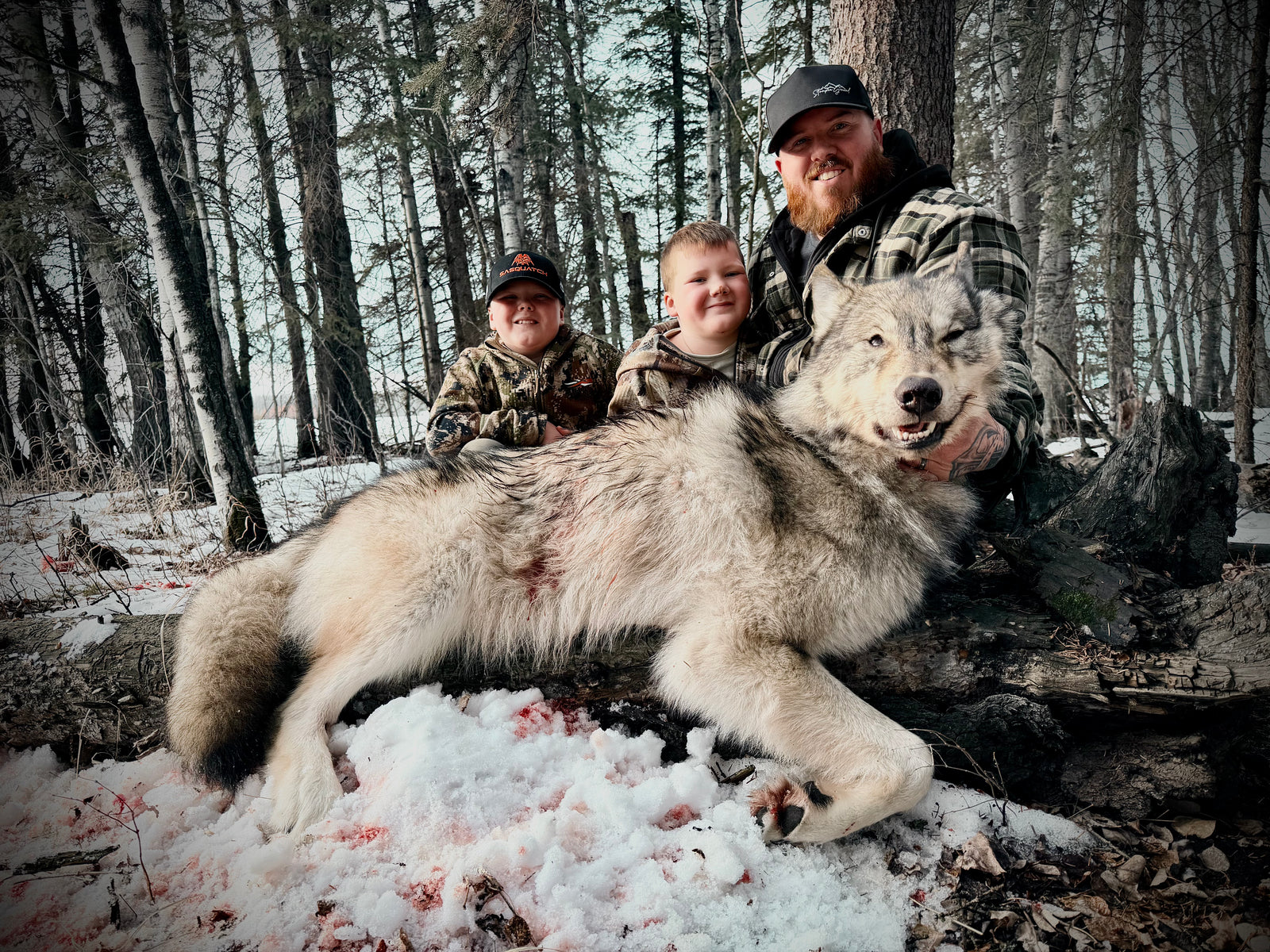 Three hunters with a grey timber wolf in the snow