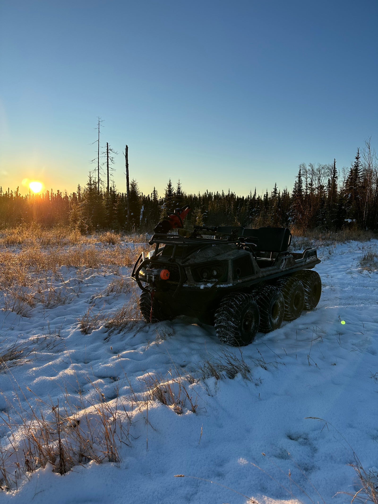 Argo on a frozen trail at sunrise